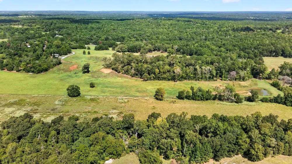 Open pasture and wooded acreage at Conaway Family Farm